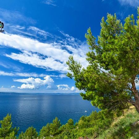 Vila Maslina Apartments Mit Pool Und Garten Nahe Am Strand Tučepi Dış mekan fotoğraf