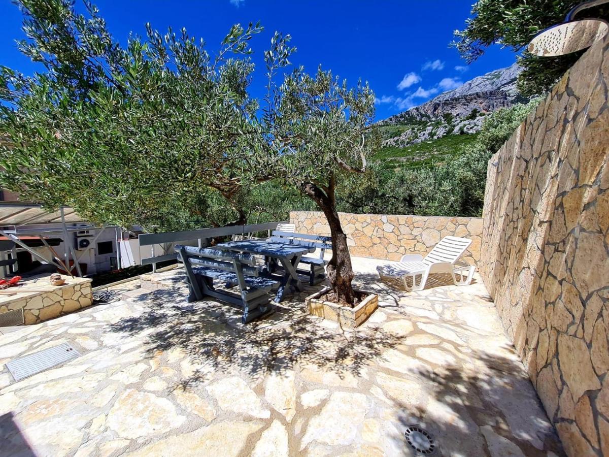 Vila Maslina Apartments Mit Pool Und Garten Nahe Am Strand Tučepi Dış mekan fotoğraf