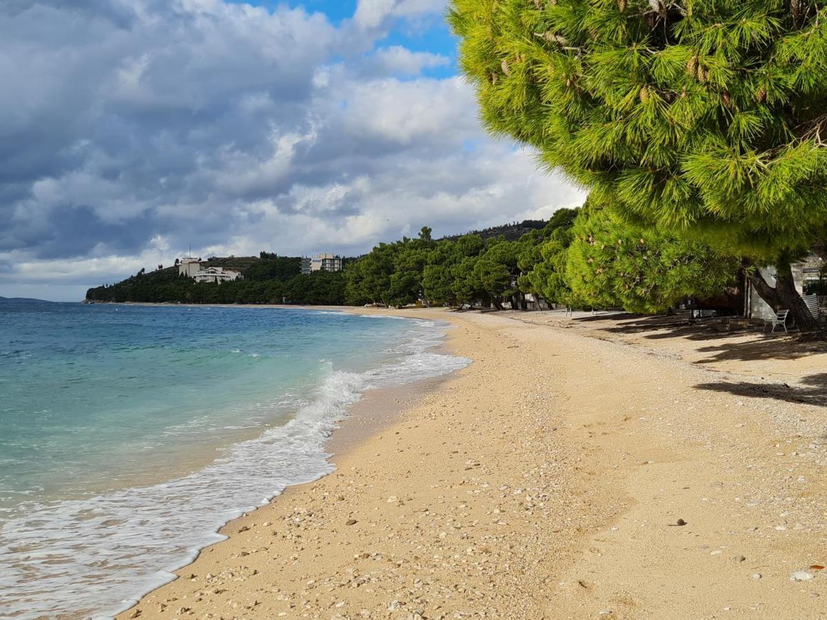 Vila Maslina Apartments Mit Pool Und Garten Nahe Am Strand Tučepi Dış mekan fotoğraf
