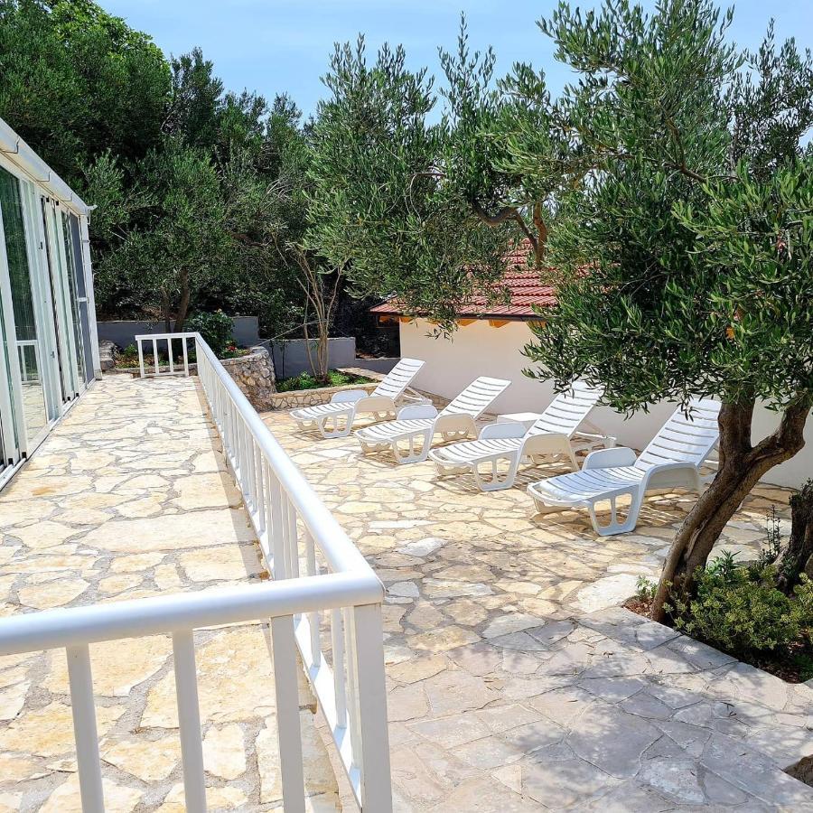 Vila Maslina Apartments Mit Pool Und Garten Nahe Am Strand Tučepi Dış mekan fotoğraf