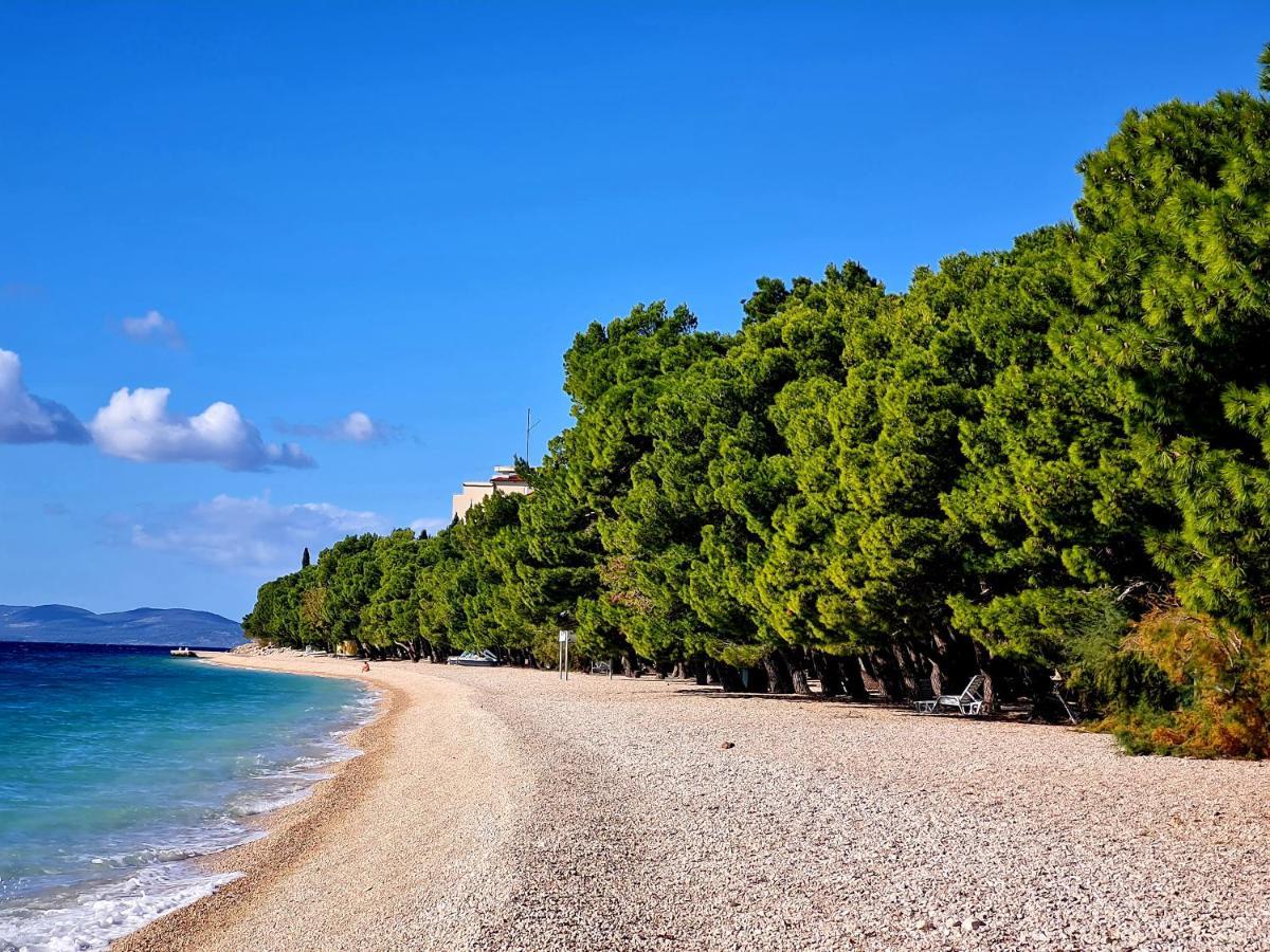 Vila Maslina Apartments Mit Pool Und Garten Nahe Am Strand Tučepi Dış mekan fotoğraf