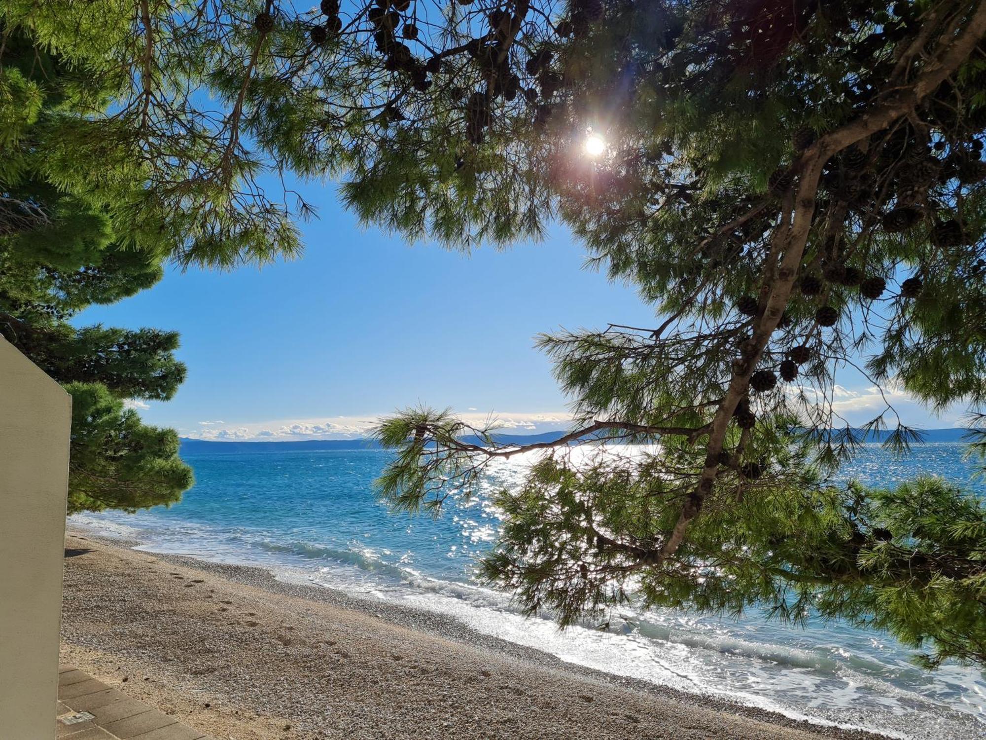 Vila Maslina Apartments Mit Pool Und Garten Nahe Am Strand Tučepi Dış mekan fotoğraf