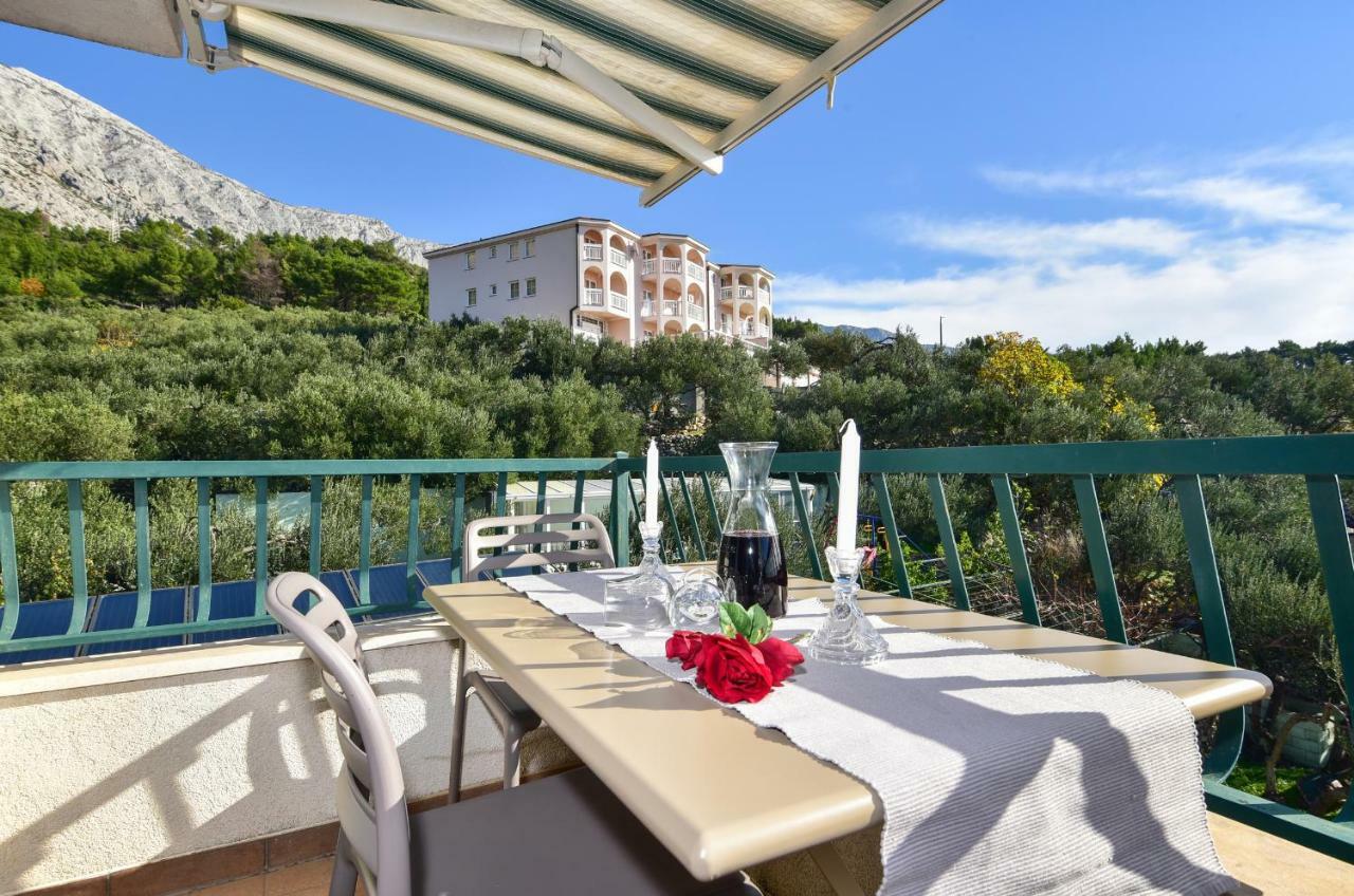 Vila Maslina Apartments Mit Pool Und Garten Nahe Am Strand Tučepi Dış mekan fotoğraf