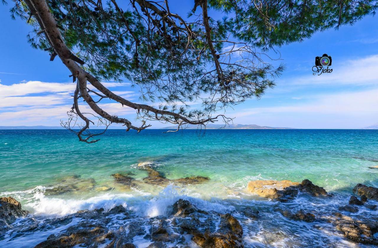Vila Maslina Apartments Mit Pool Und Garten Nahe Am Strand Tučepi Dış mekan fotoğraf