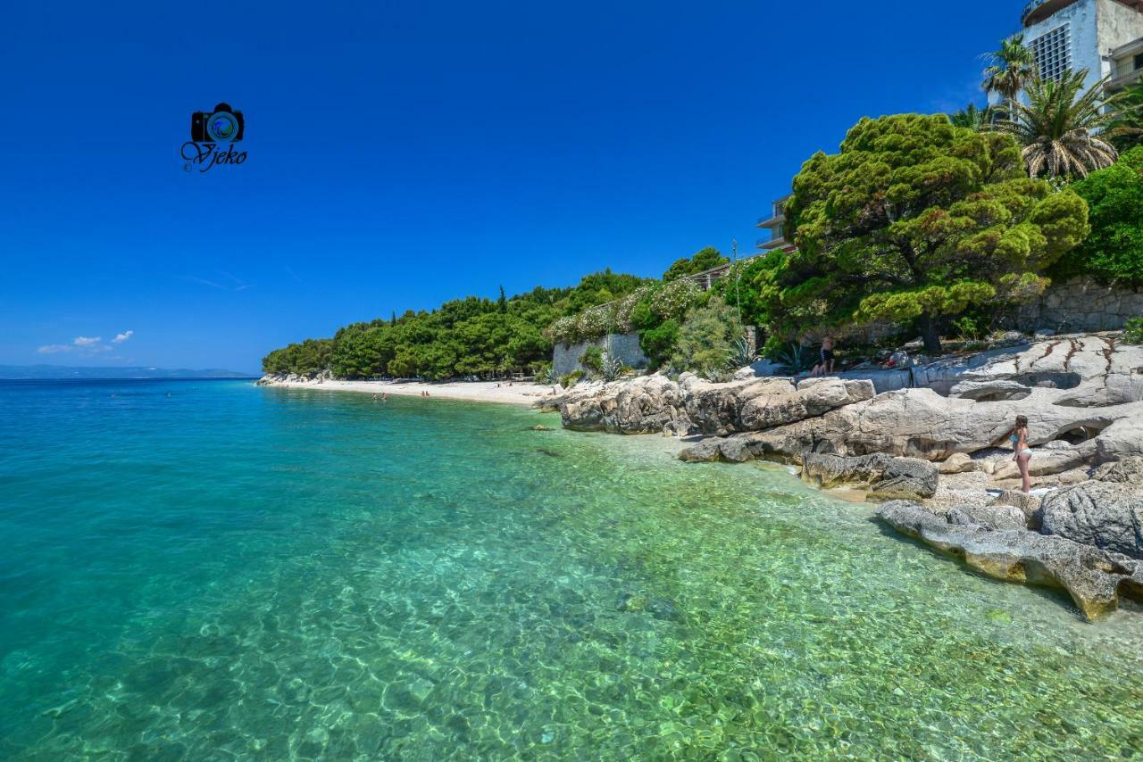 Vila Maslina Apartments Mit Pool Und Garten Nahe Am Strand Tučepi Dış mekan fotoğraf