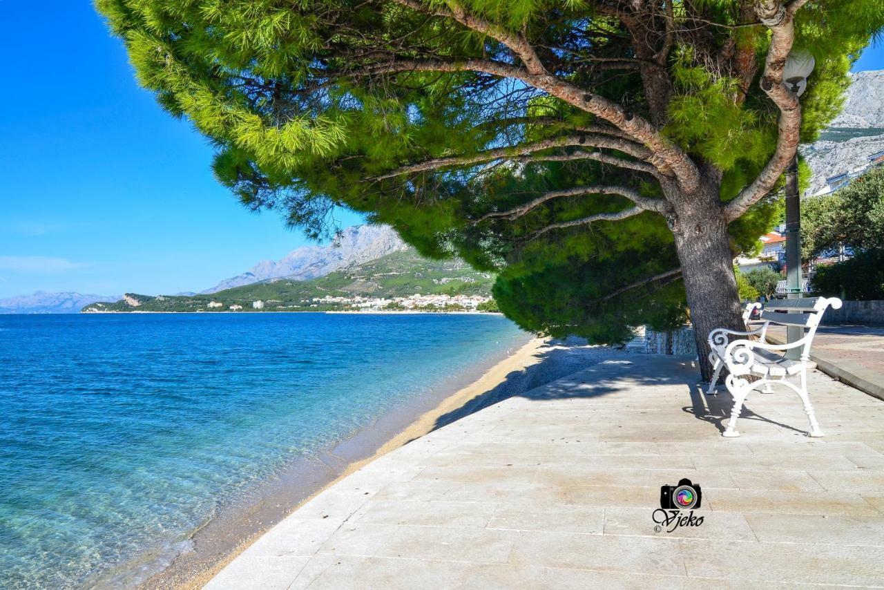 Vila Maslina Apartments Mit Pool Und Garten Nahe Am Strand Tučepi Dış mekan fotoğraf